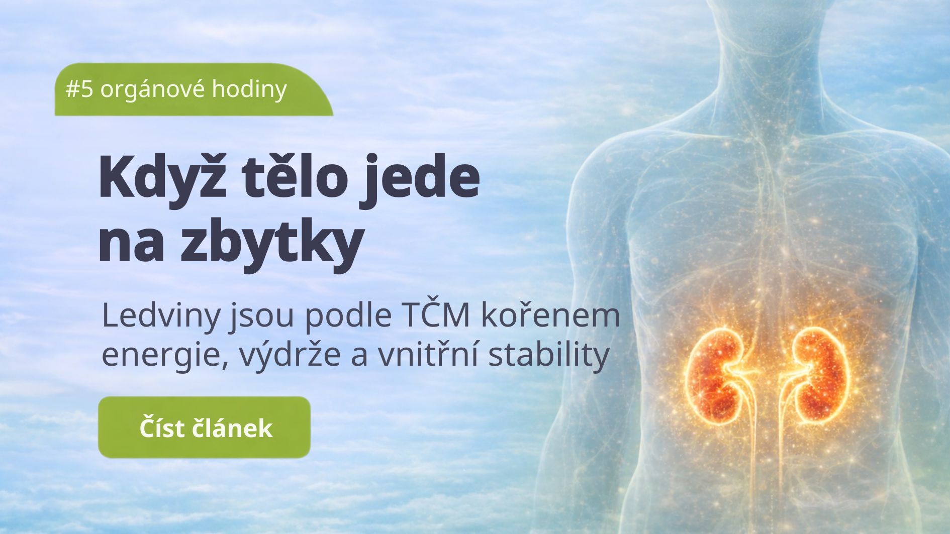 Ledviny: Když tělo jede na zbytky