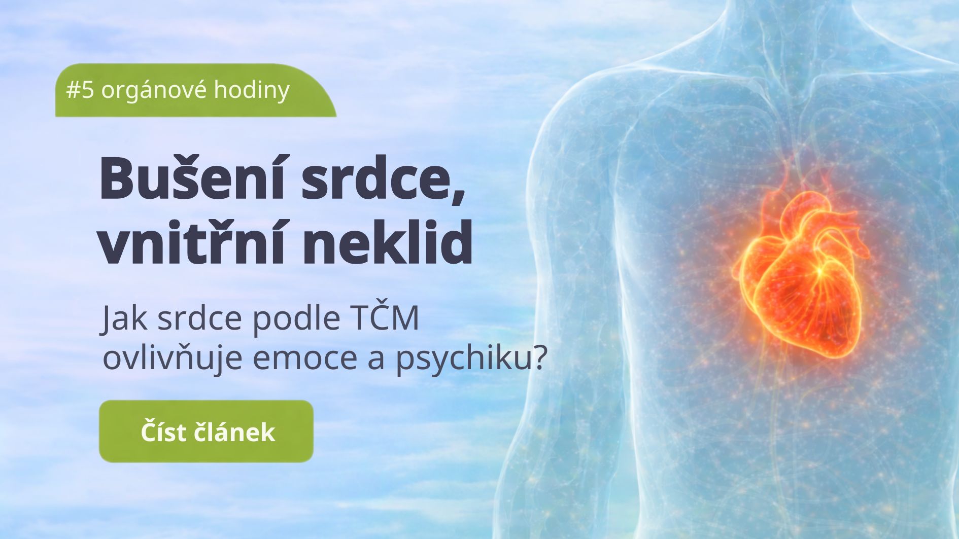 Srdce: Když duše bije rychleji než tělo: Co vám říká srdce?