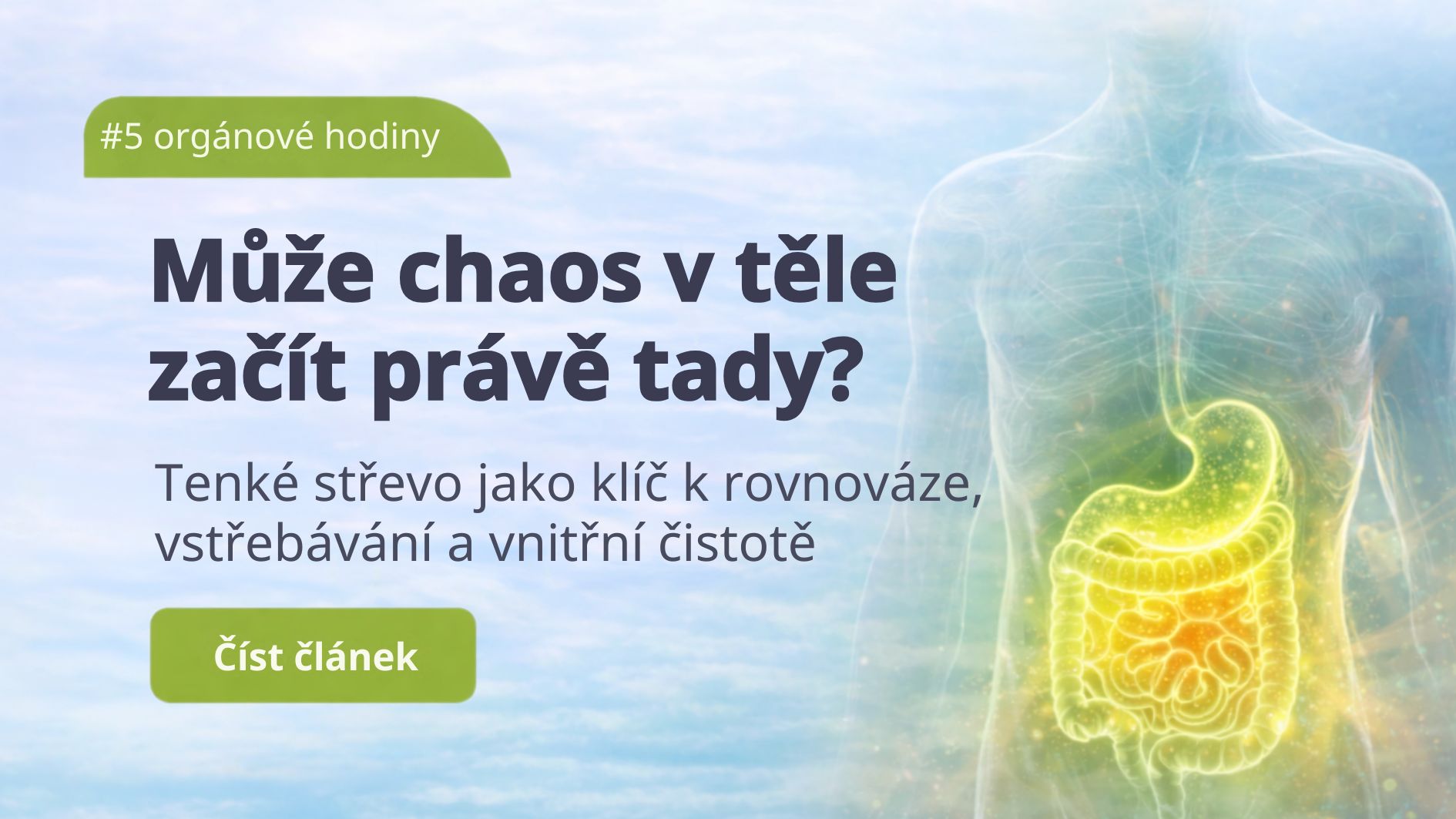 Tenké střevo: Může chaos v těle začít právě tady?