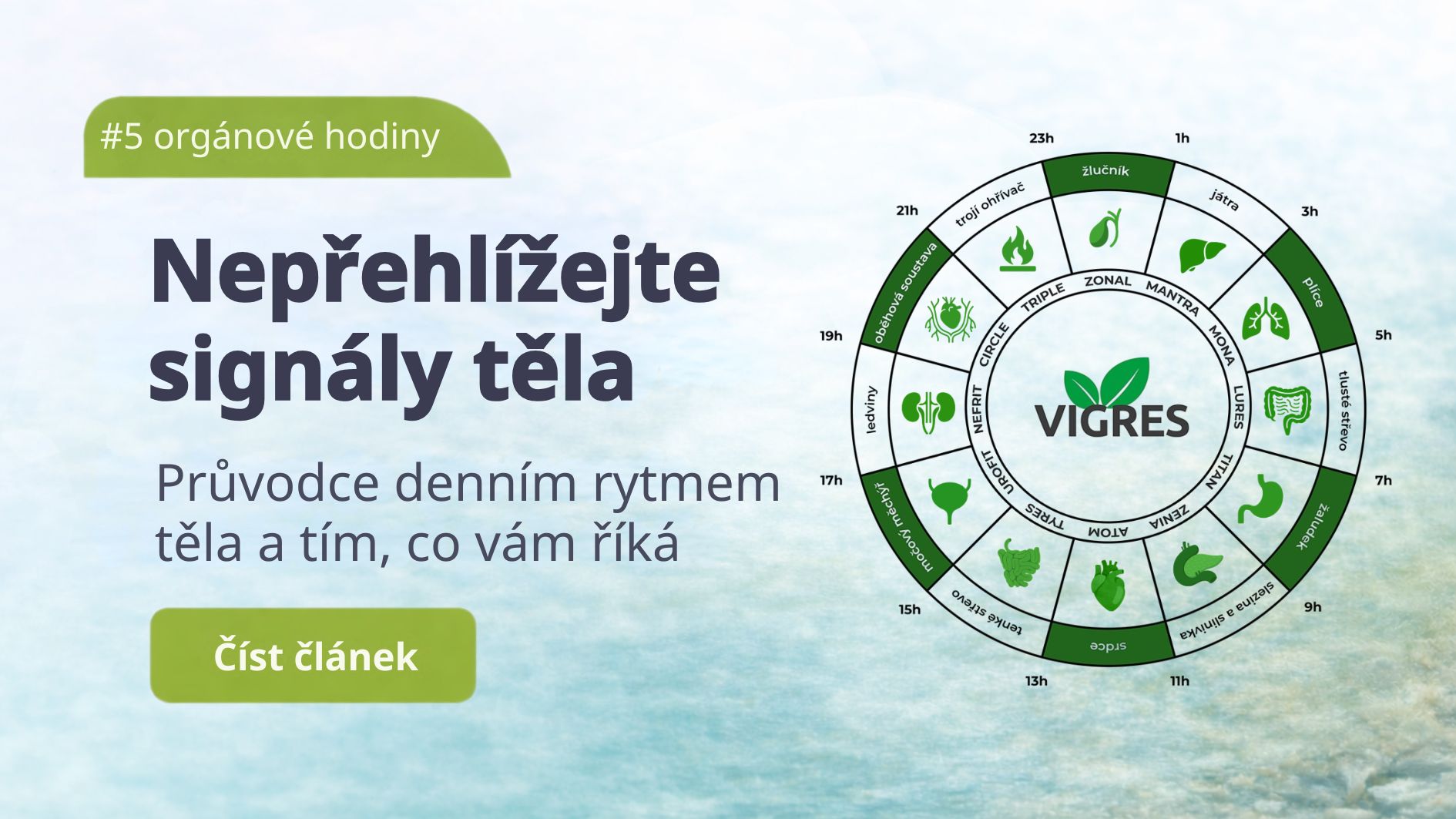 Jak pracovat s orgánovými hodinami