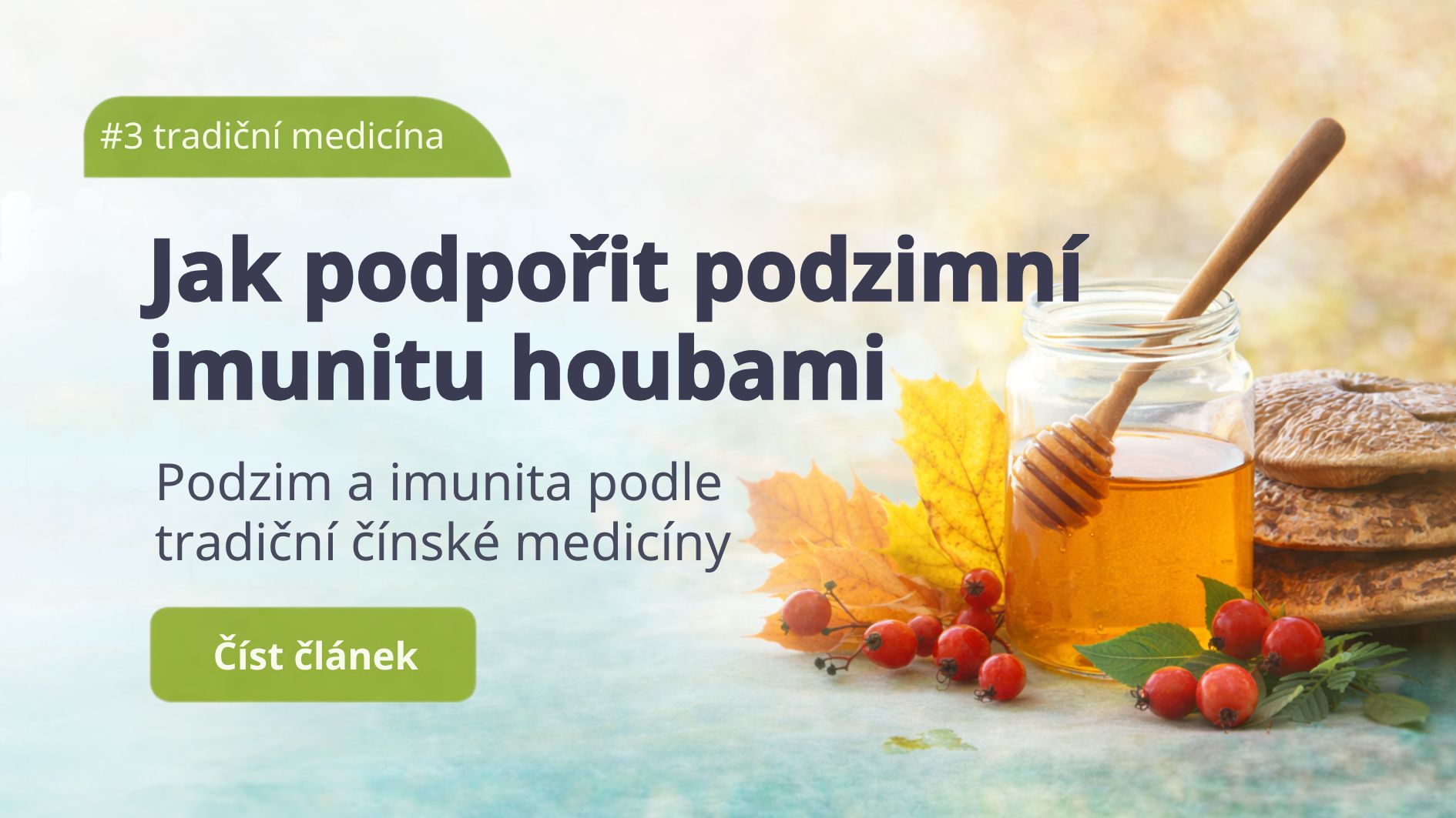 Podzimní imunita a role vitálních hub v přirozené obraně těla