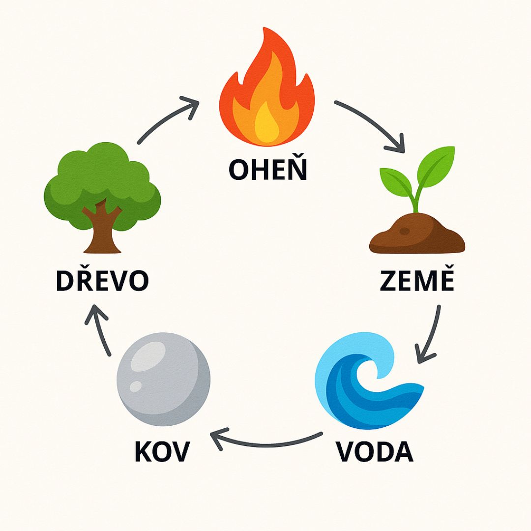 pět elementů podle TČM
