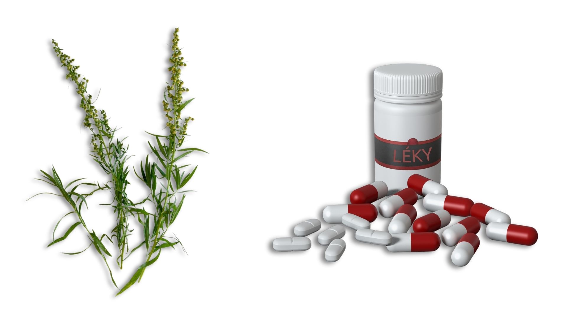 byliny-vs-leky