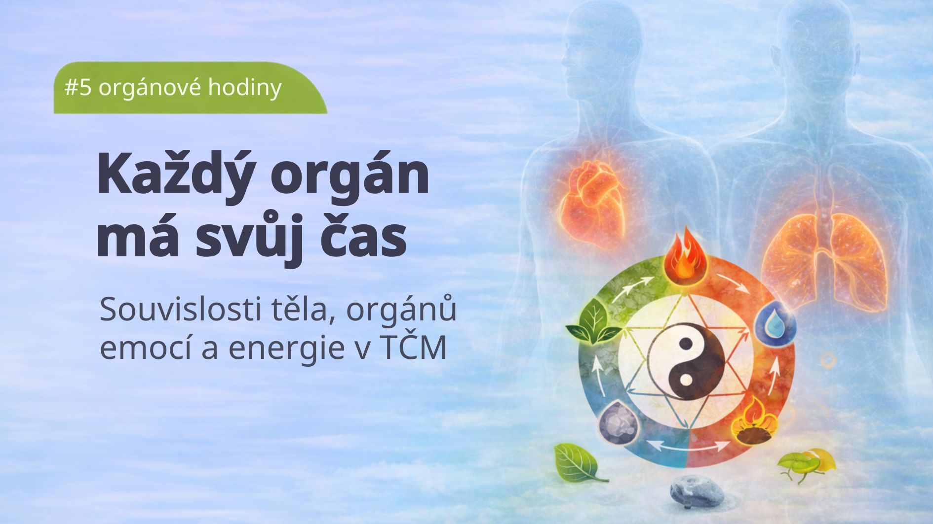 kazdy-organ-ma-svuj-cas