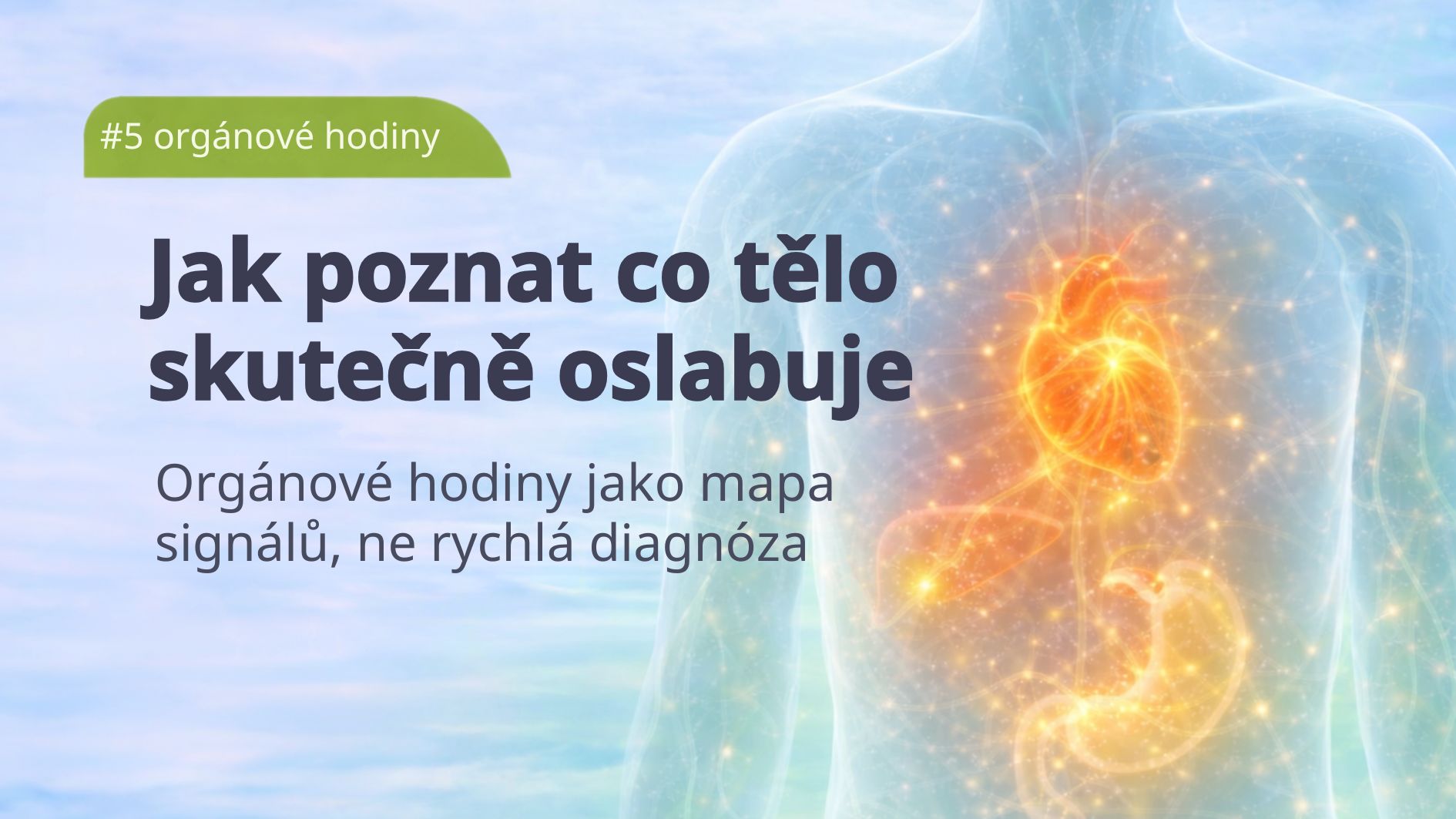 organove-hodiny-jak-poznat-co-telo-skutecne-oslabuje