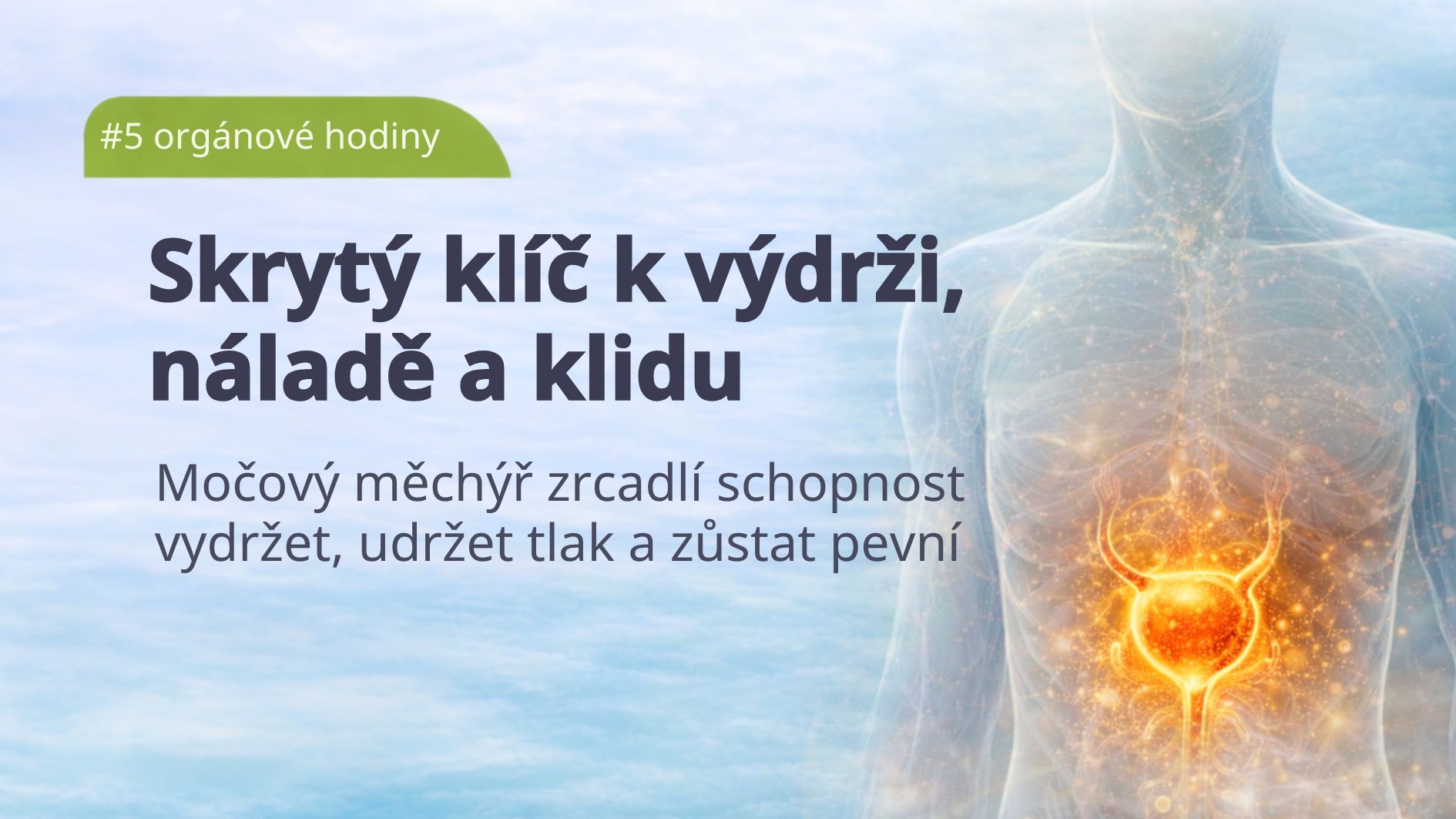 organove-hodiny-mocovy-merchyr-zlucnik