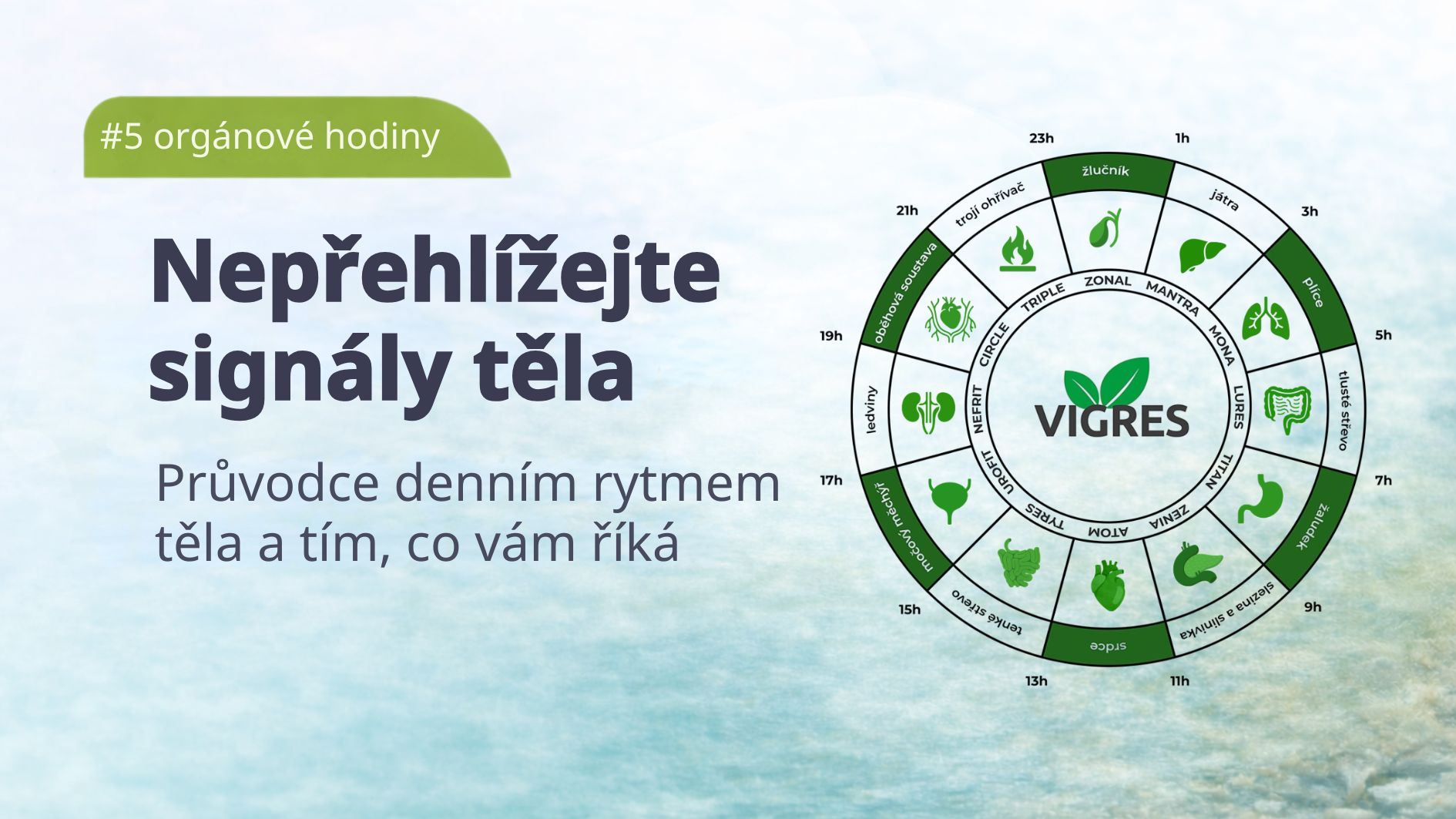 organove-hodiny-vigres