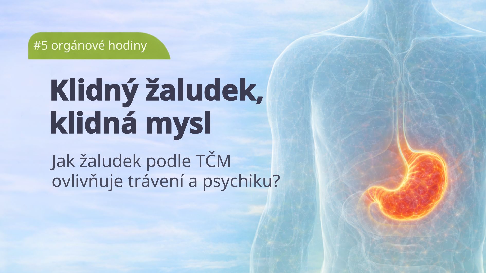 organove-hodiny-zaludek