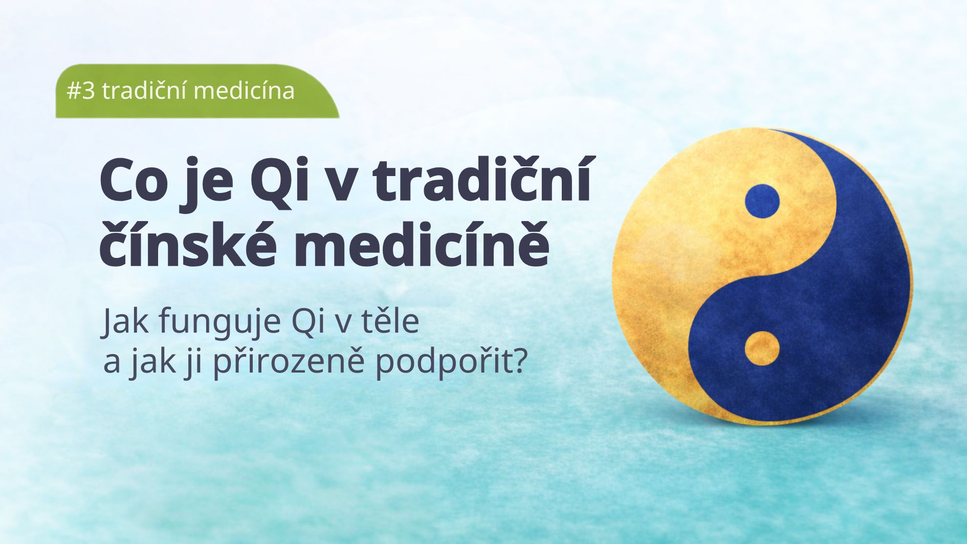 vitalni-houby-co-je-qi-tradicni-cinska-medicina