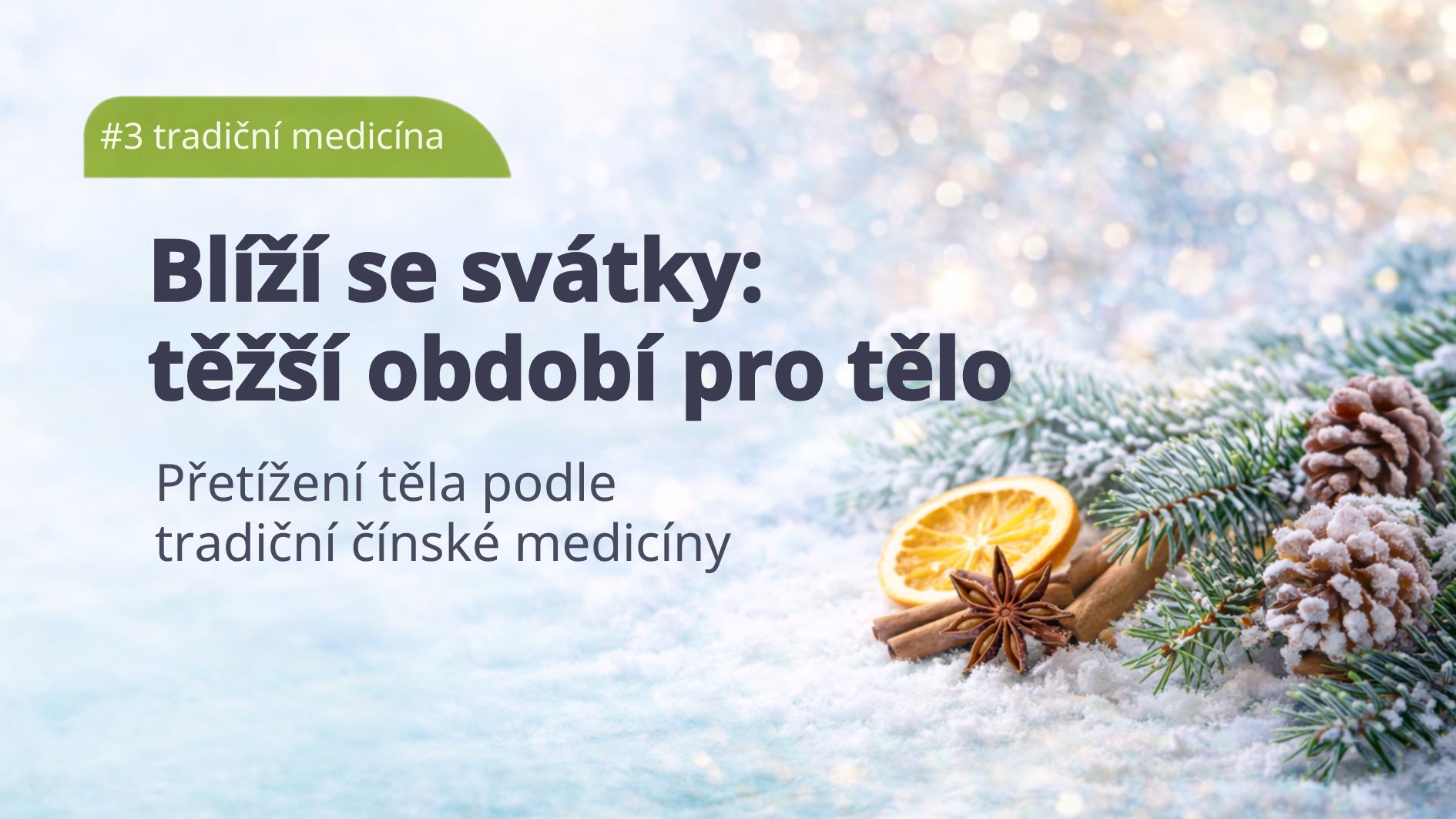 vitalni-houby-vanoce-a-tradicni-cinska-medicina