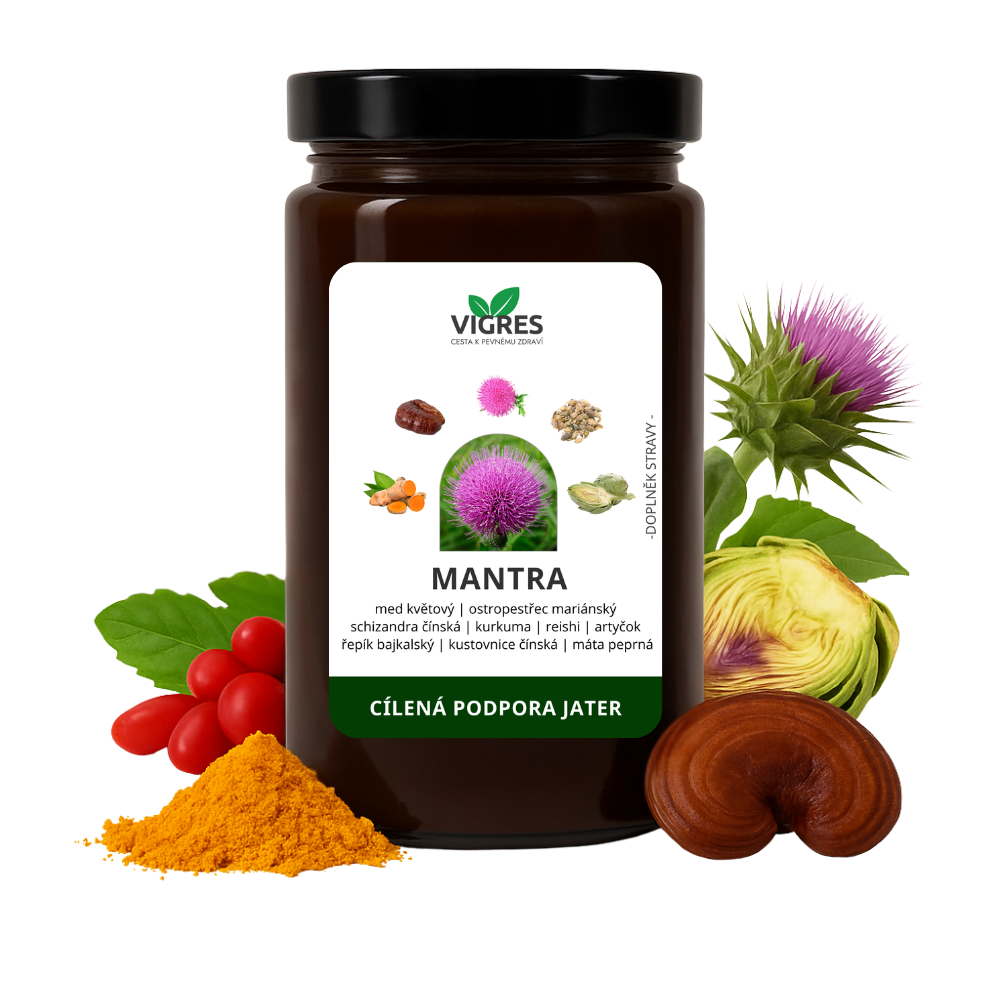 mantra-cilena-podpora-jater-vigres