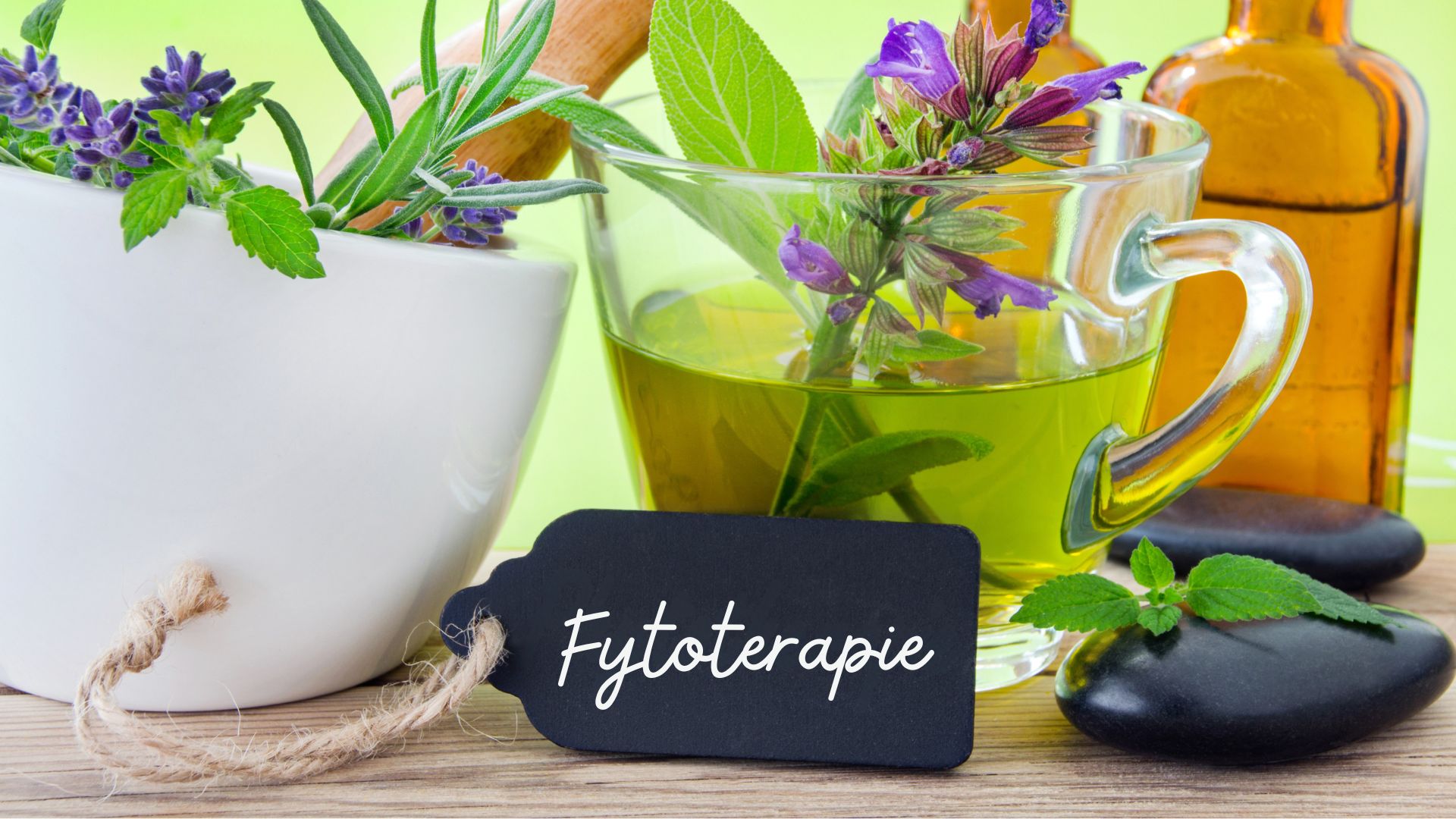 fytoterapie