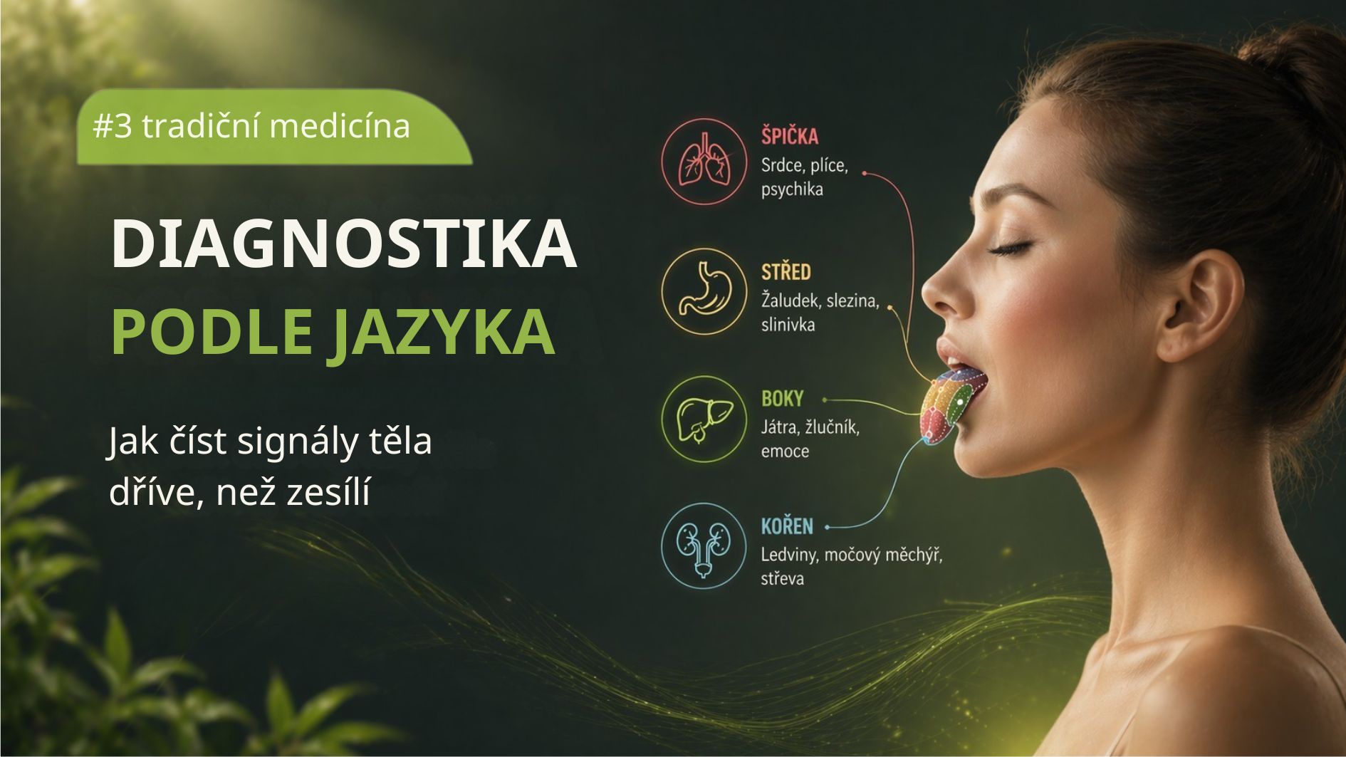 diagnostika-jazyka-podle-tcm-vigres-tl1