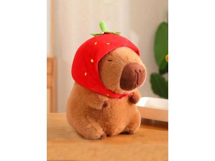 9bc637189f53f877a4f315e314f19028