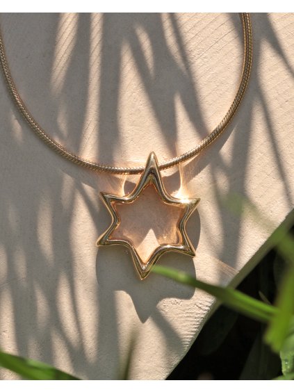 Magen David Gold Necklace / Vol.III