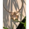 Magen David Gold Necklace / Vol.III
