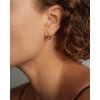 Earrings C Gold