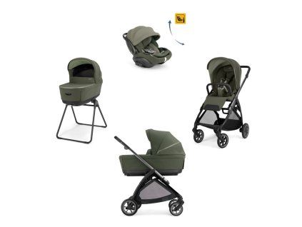 Kinderwagen Inglesina Electa Darwin Recline Evo 4v1 Loft Green