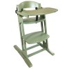 Dan Tray Green Esstisch für Hochstuhl BabyDan DanChair