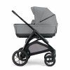 Kinderwagen Inglesina Aptica XT Darwin Recline Evo 4in1 Canyon Grey