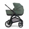 Kinderwagen Inglesina Aptica XT Darwin Recline Evo 4in1 Taigagrün