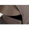 Inglesina Aptica Duo 2in1 Kinderwagen Ivy Green