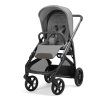 Kinderwagen Inglesina Aptica Darwin Recline Evo 4in1 Crystal Grey