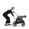 Inglesina Sportkinderwagen Aptica Crystal Grey