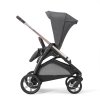 Kinderwagen Inglesina Aptica Darwin 4in1 2024 Satin Grey