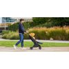 Recaro Sport-Kinderwagen LEXA 2024 Teal Green