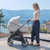 Kinderwagen Inglesina Aptica 2v1 Opal Ivory