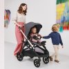 Inglesina Sportikinderwagen Aptica Velvet Grey
