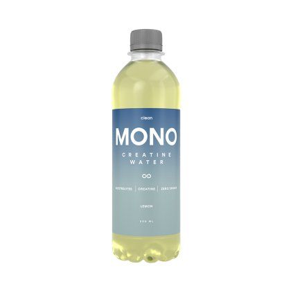 CLEAN MONO - Citron 500ml