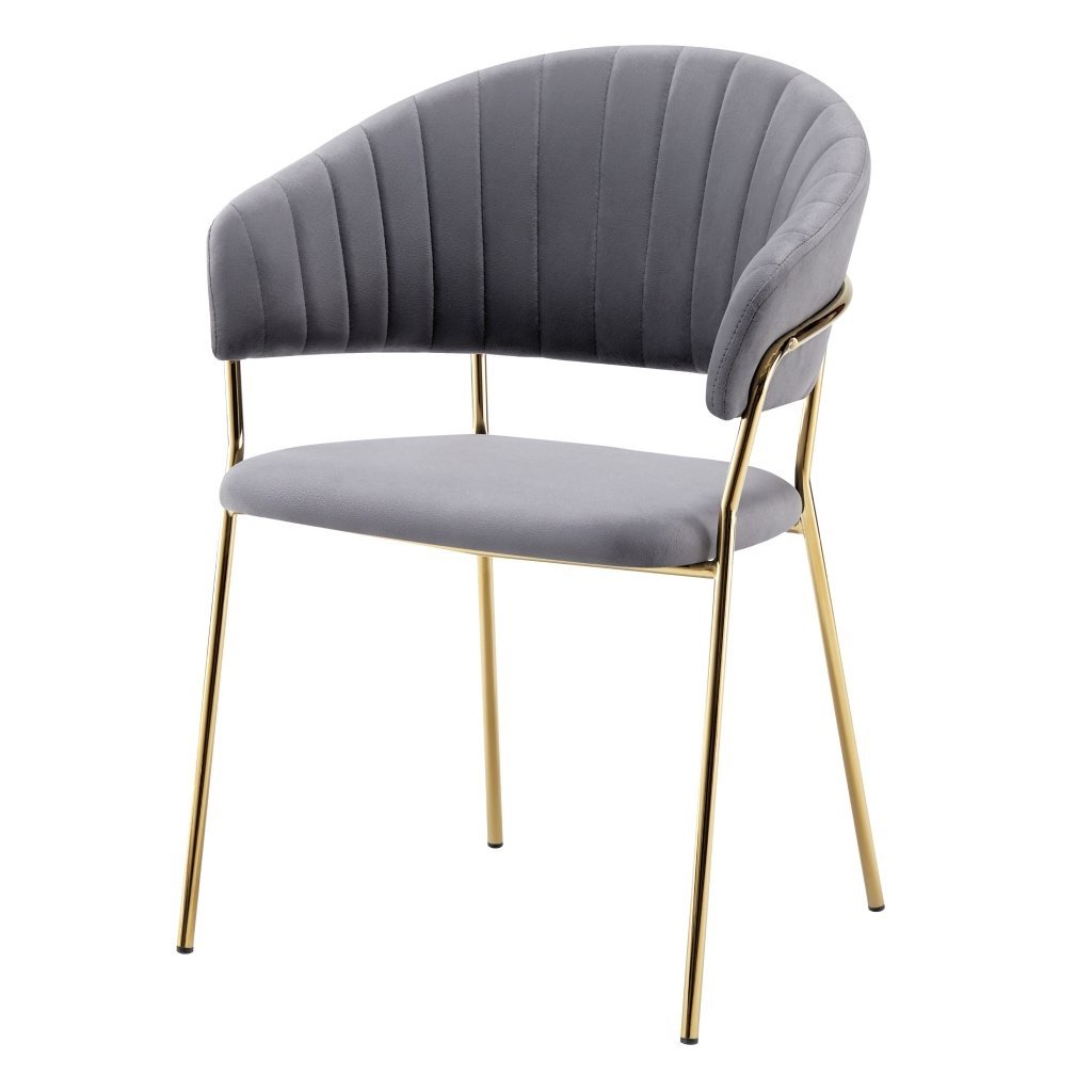 dasmin typ 1 sivohneda 01