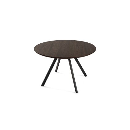 178 jidelni stul gyrus 120 hneda