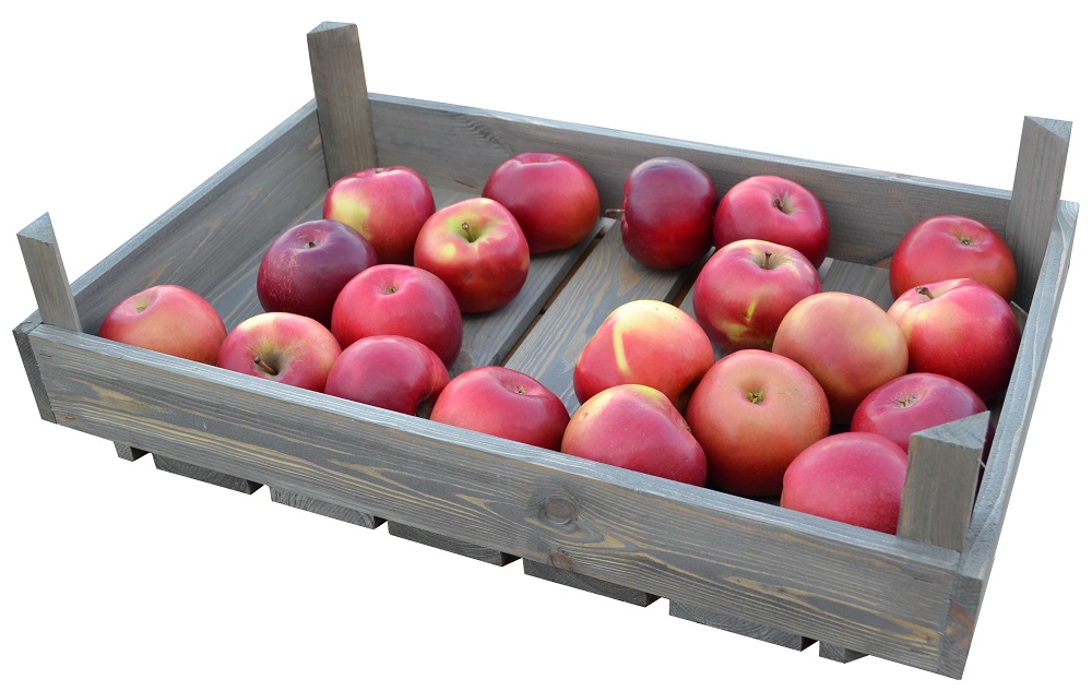 Asko Dřevěná bedýnka zelinářská 55x35 cm