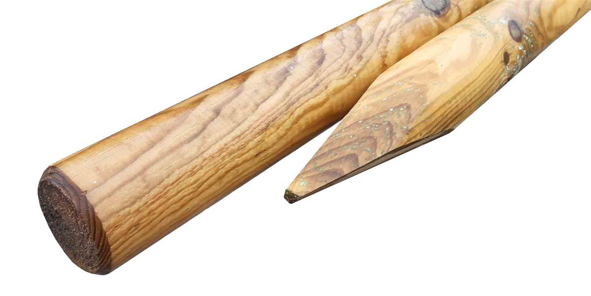 Asko Kůl se špicí 80/1200mm BOROVICE