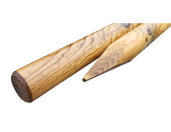 Asko Kůl se špicí 60/2000mm BOROVICE