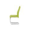 Jídelní židle koženka zelená chrom AJZ162LI