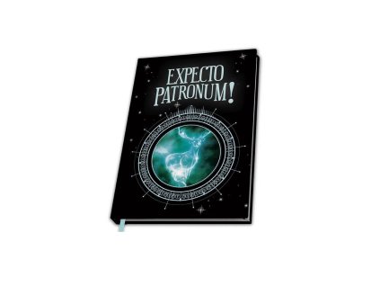 59395 17 zapisnik harry potter expecto patronum menici se