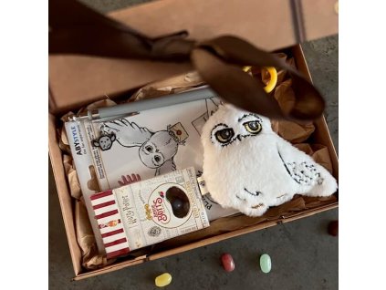 Harry Potter darkova sada Hedvika mensi Svet kouzel 2