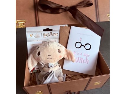 Harry Potter darkova sada muchlacek narodila se carodejka (2)