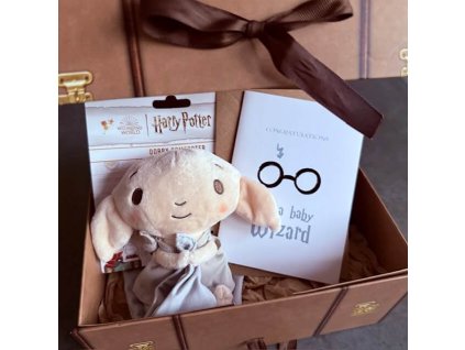 Harry Potter darkova sada muchlacek narodil se kouzelnik
