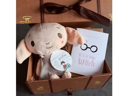Harry Potter darkova sada baby dobby narodila se carodejka (2)