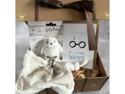 2991 harry potter ajandekcsomag kis varazslo parna hedvig