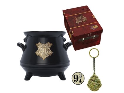 harry potter darkovy kufrik kouzelny kufrik z bradavic svetkouzel 1