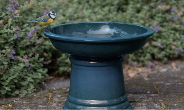 Jarní ptačí koutek