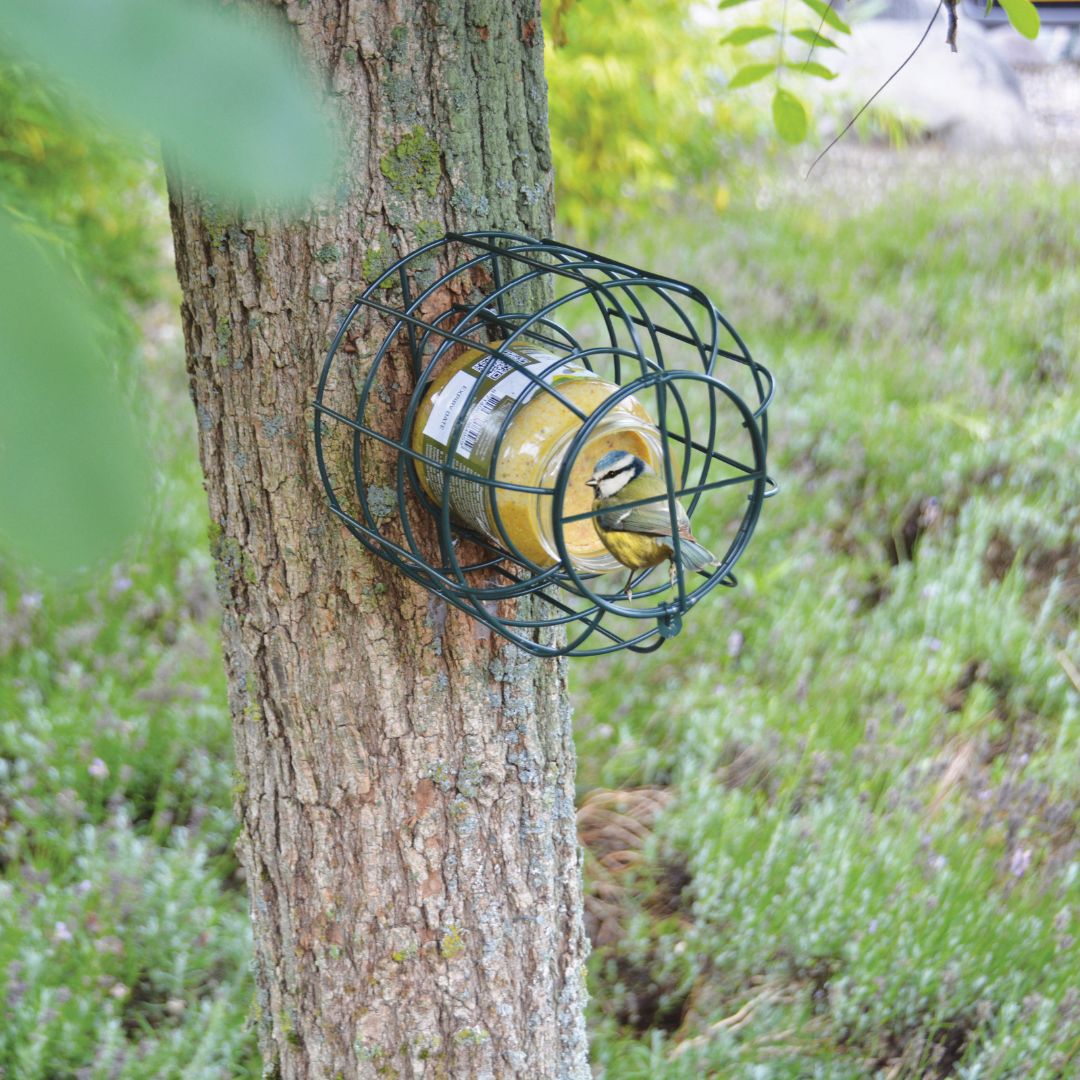 Ochrana před predátory