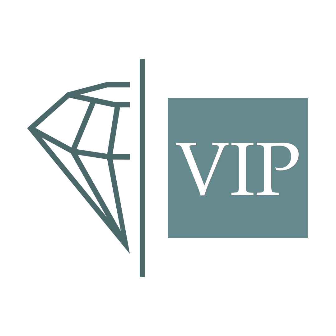 VIP logo Village Style