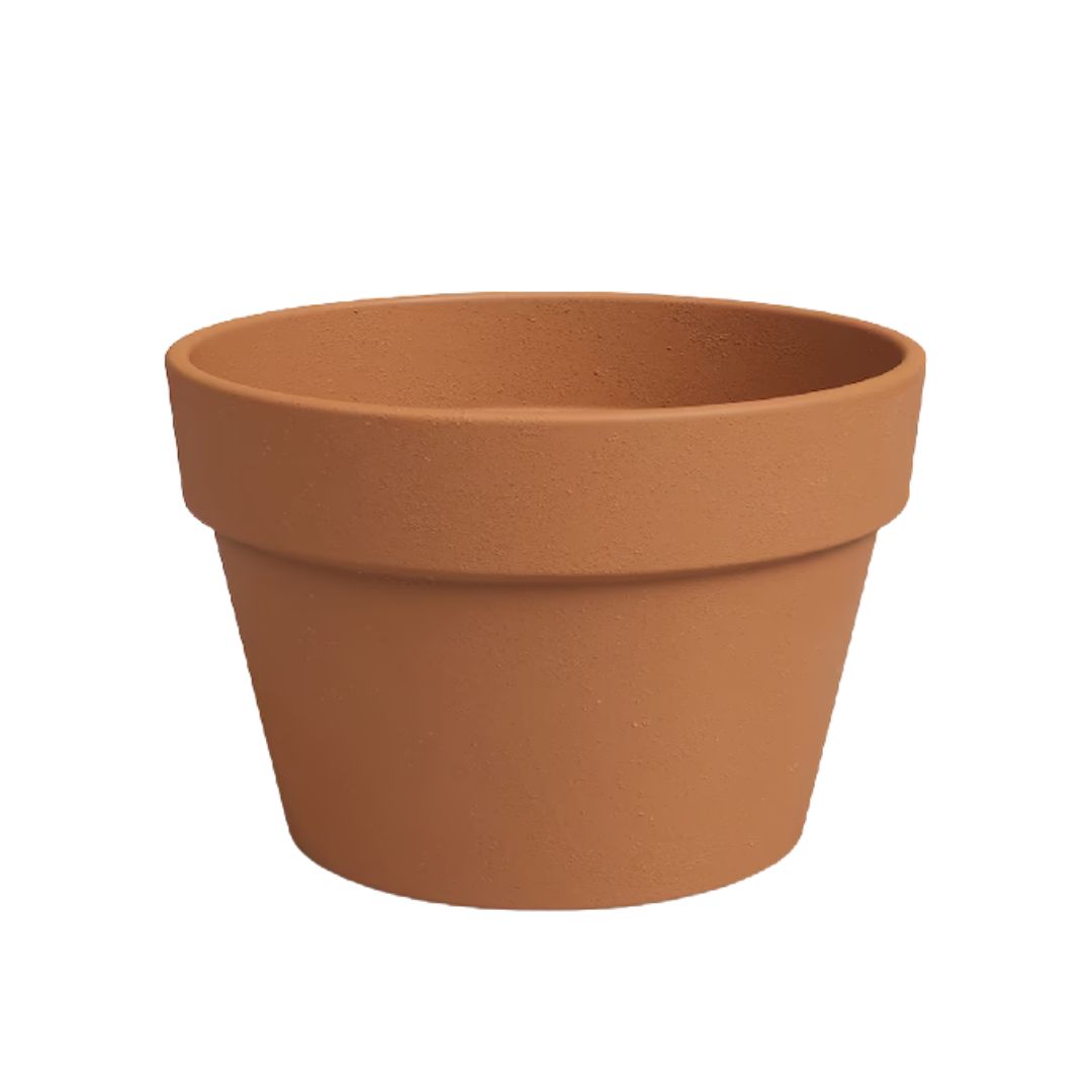 Vhodný květináč pro Aloe vera